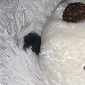 Meet your Posher, Dayze